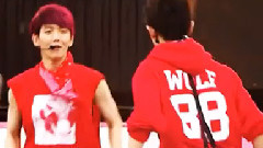 爱情并没有为什么