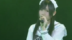 白いチューリップ