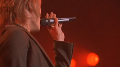 Maze Solo Premium Mini Live