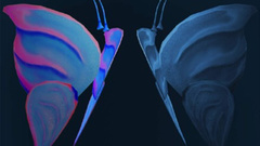 我俩没有明天 歌词版