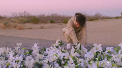 末日症候群 饭制版