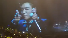 偶吧问候 小狮子的