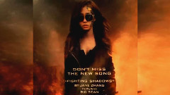 Fighting Shadows 试听版