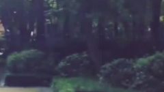 Good Morning 东海IG视频更新