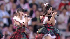 真夏のクリスマスローズ