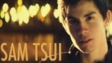 Sam Tsui - Love The Way You Lie