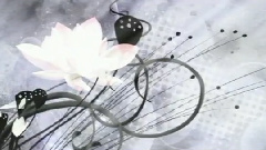 如果喝香波的话 Love To Be