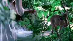 Giovanni Marradi - Pure Heart