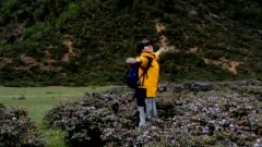 民乐群星 - 爱恋的草原