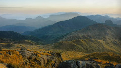 故园东望路漫漫