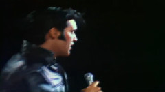 Can't Help Falling In Love