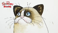 Learn To Draw And Paint Grumpy Cat