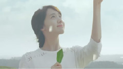 Innisfree Summer CF