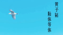 你好,22岁的黄子韬 (黄子韬0502生日快乐)