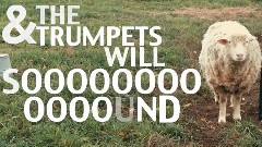 When The Son Of Man (Comes Again)