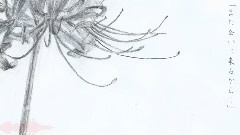 初音未来 - 彼岸花