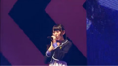 桜の花びらたち