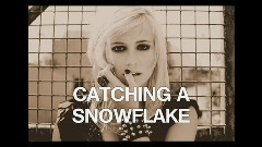 Pixie Lott - Catching Snowflakes