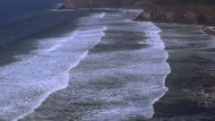 Birds Over The Rainbow