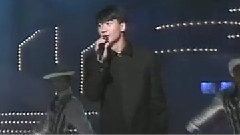 我会像你一样傻