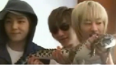 第一次泰国行花絮