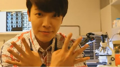 四主演问候视频