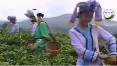 布朗情歌 葫芦丝独奏