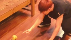 东海INS视频更新2