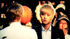 斗牛要不要 预告