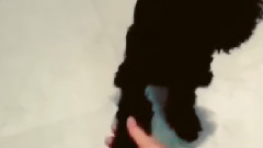 泰妍 IG视频更新