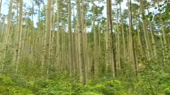 要我怎么忘了他