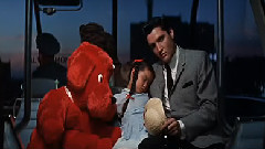 They Remind Me Too Much Of You