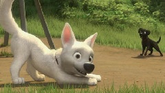 老友同行不孤单