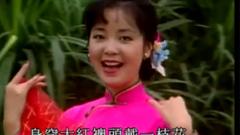 邓丽君 - 小媳妇回娘家