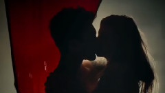 Animals 中英字幕