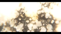 初音未来 - ねがい