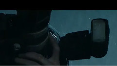 Animals 中英字幕