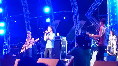 2014美丽南方音乐节