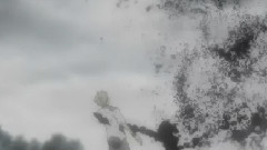 盛开在心中的二次元之花