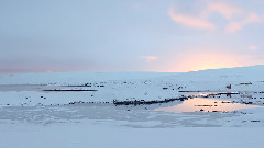 Recorders - Someone Else's Memory