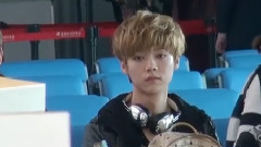 What Are Words(一生的承诺)